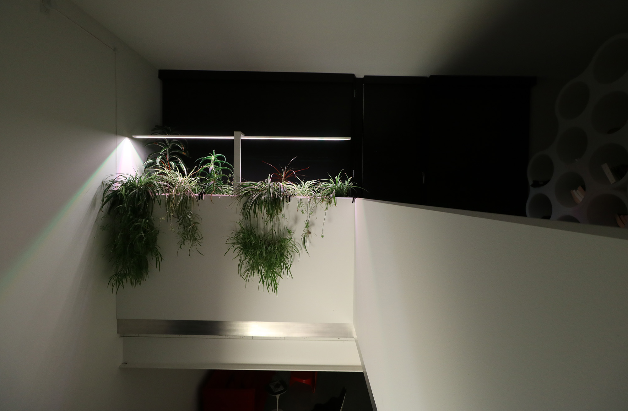 led hydroponie